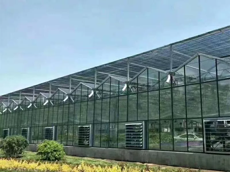 কিহৰ বাবে তীখা উলম্ব পামক বহনক্ষম কৃষিৰ ভৱিষ্যত?